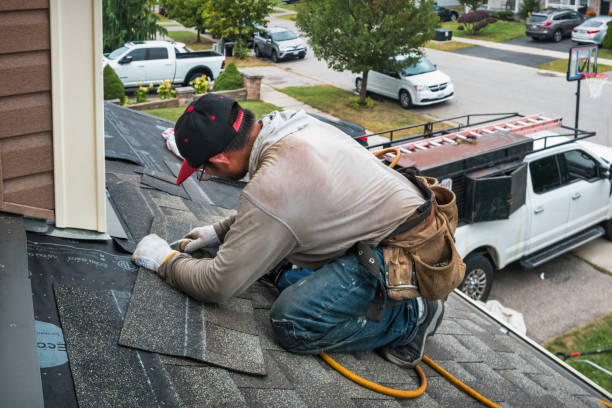 Professional Roof Repair technician working in Genoa, WV